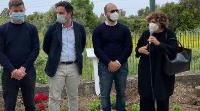 Nel cortile della scuola di Bivona 3 alberi di ulivo per ricordare le vittime del Covid