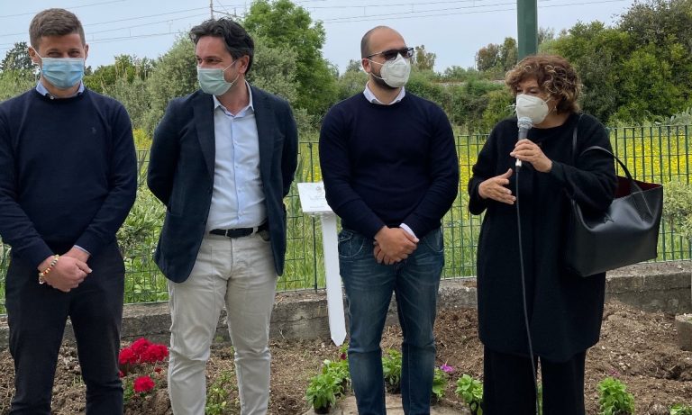 Nel cortile della scuola di Bivona 3 alberi di ulivo per ricordare le vittime del Covid