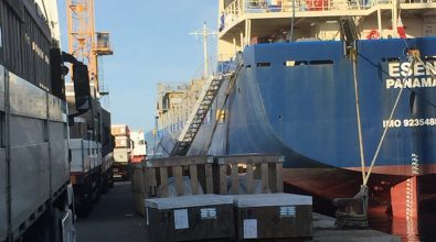 Da Vibo Marina alla Nigeria, l’export di macchinari parte dal Nuovo Pignone