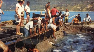 Pizzitani “mangiagàrgi” e vibonesi “cardijàri”: rivalità a colpi di nomignoli