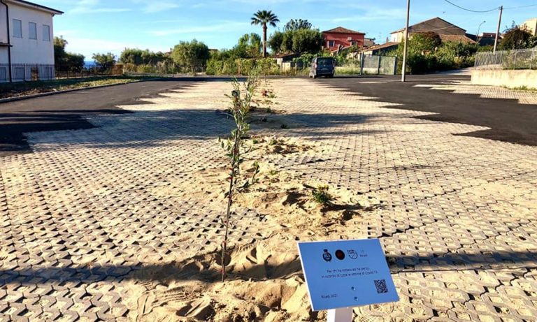 Ricadi, i bambini della primaria piantano 15 ulivi in ricordo delle vittime del Covid