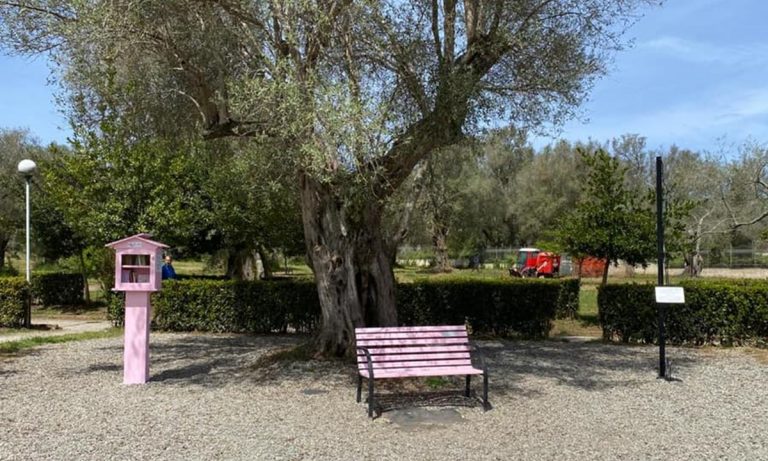 Vibo Valentia, al Parco urbano torna la mini biblioteca rosa