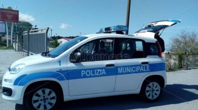 Risse a violenze a Vibo, il sindacato Polizia locale: «Si aumentino gli agenti sul territorio»