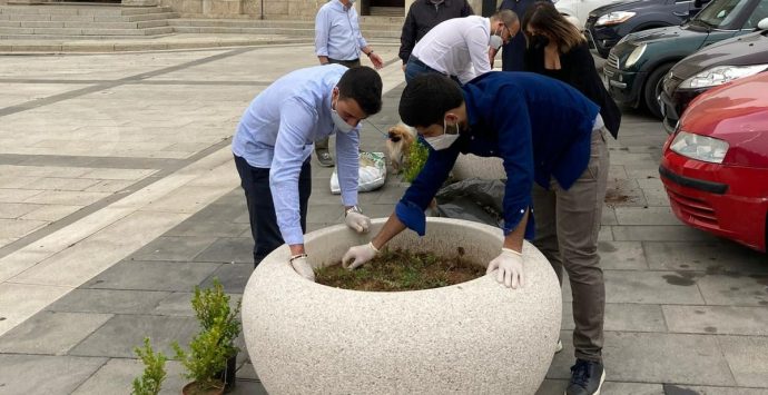 Vibo, l’associazione Valentia riqualifica piazza San Leoluca