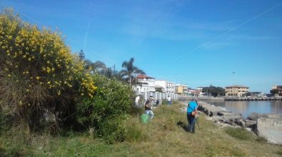 Vibo Marina, volontari in azione per pulire il lungomare Colombo