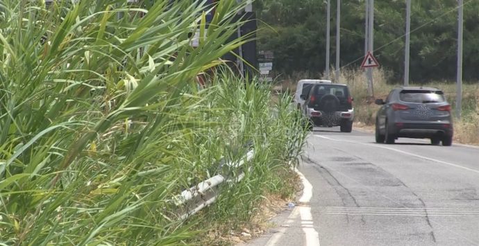 «Ma sapete che esistono i decespugliatori?», turisti incantanti dal mare ma sconcertati dalle strade -Video