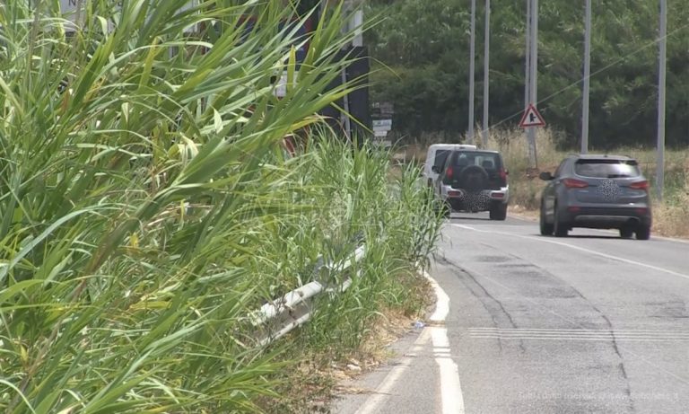 «Ma sapete che esistono i decespugliatori?», turisti incantanti dal mare ma sconcertati dalle strade -Video