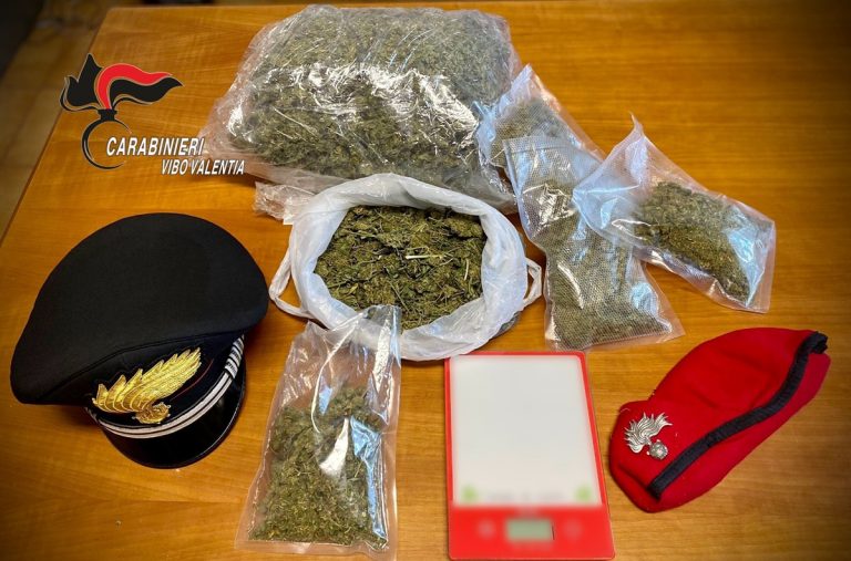 Marijuana a Nicotera, scarcerato l’indagato arrestato dai carabinieri