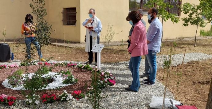 Istituto industriale di Vibo, un nuovo alberello al “Parco della memoria”