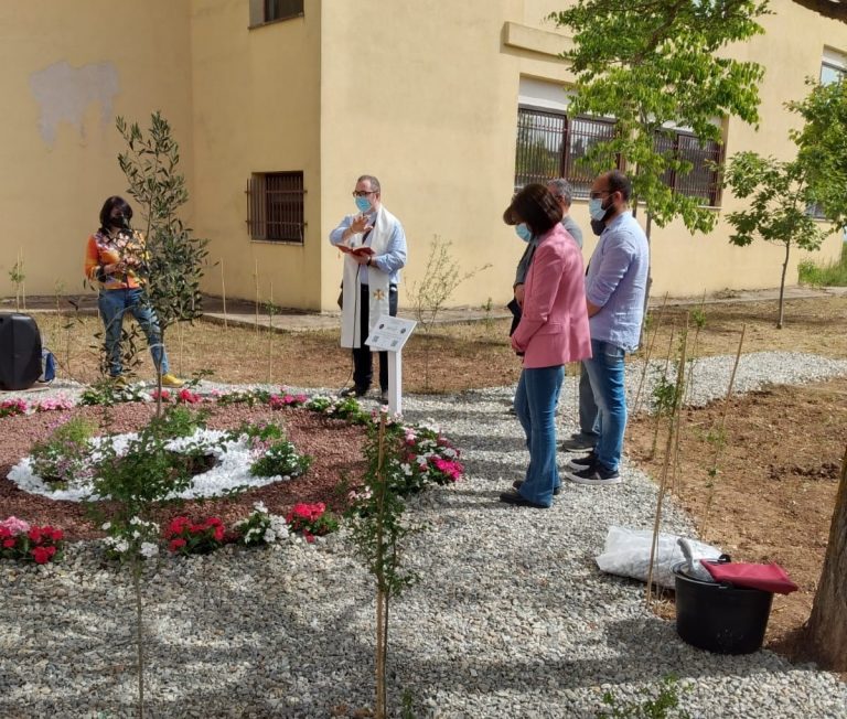 Istituto industriale di Vibo, un nuovo alberello al “Parco della memoria”