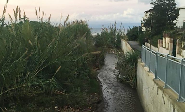 Torrente Sant’Anna a Bivona, Soriano (Pd) chiede maggiore attenzione