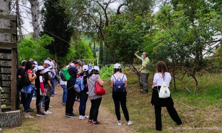 Appuntamento con la natura, successo per la Festa delle oasi Wwf all’Angitola