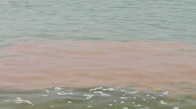 Mare sporco, lo sfogo di una mamma: «Il peggiore mai visto, porterò via le mie bimbe dalla Calabria» – Video