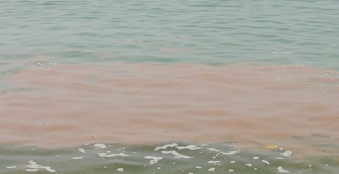 Mare sporco, lo sfogo di una mamma: «Il peggiore mai visto, porterò via le mie bimbe dalla Calabria» – Video