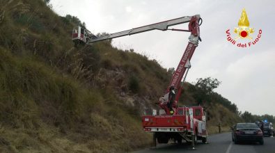 Scompare tra le campagne di Cessaniti: trovato morto in una scarpata