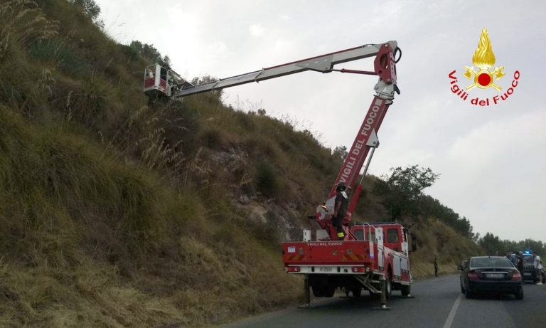 Scompare tra le campagne di Cessaniti: trovato morto in una scarpata