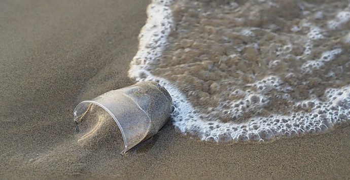 Spiagge libere da plastica e rifiuti, i volontari Wwf fanno tappa a Tropea