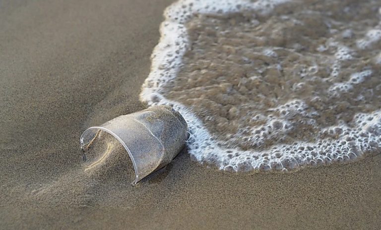 Rifiuti in spiaggia, nuova tappa Plastic free a Parghelia