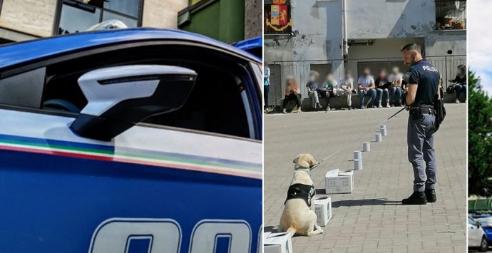 Nicotera, gli studenti incontrano la squadra cinofili e il cane poliziotto Malakeh