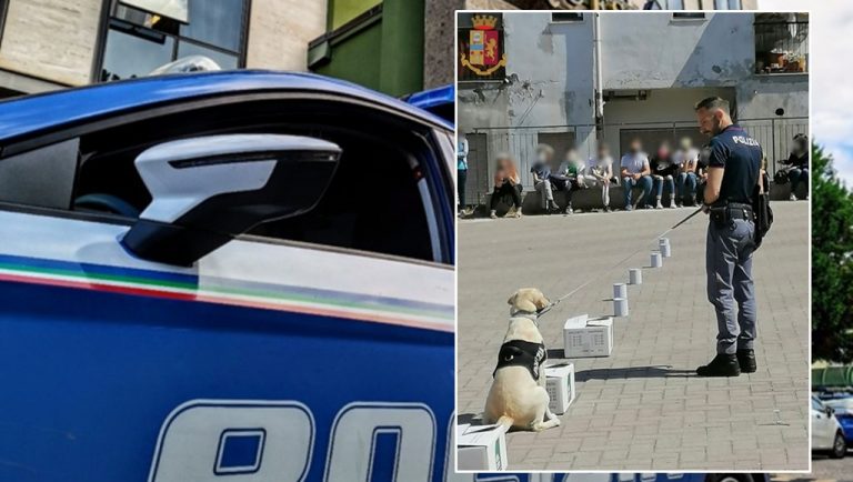 Nicotera, gli studenti incontrano la squadra cinofili e il cane poliziotto Malakeh