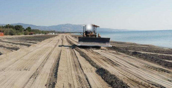 Nidi di tartarughe marine a rischio, l’appello di Wwf: «Stop a ruspe sulle spiagge»