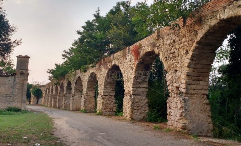 Spilinga, tutto pronto per il gemellaggio con la città statunitense di Newark