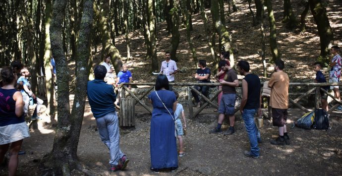 Nardodipace, conclusa la prima edizione il “Megalithos Festival”