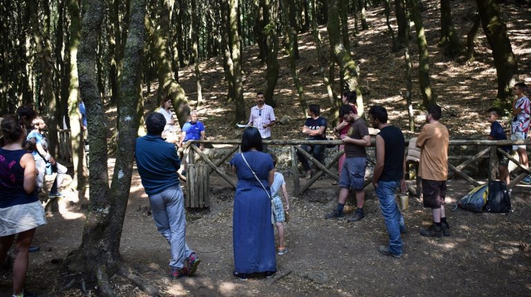 Nardodipace, conclusa la prima edizione il “Megalithos Festival”