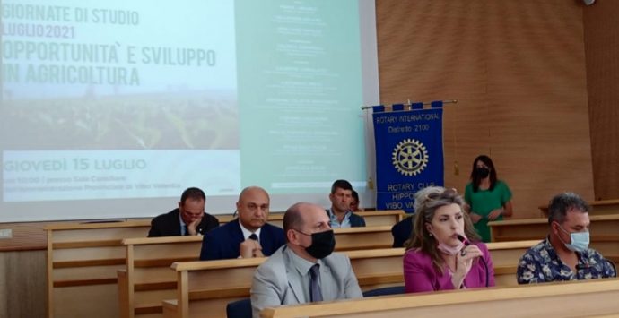 Agricoltura: orizzonti europei e politiche di sviluppo a Vibo, giornata di studio del Roraty