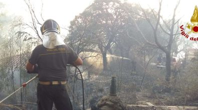 Incendi in Calabria, il sottosegretario Dalila Nesci: «Il Governo ha risposto»