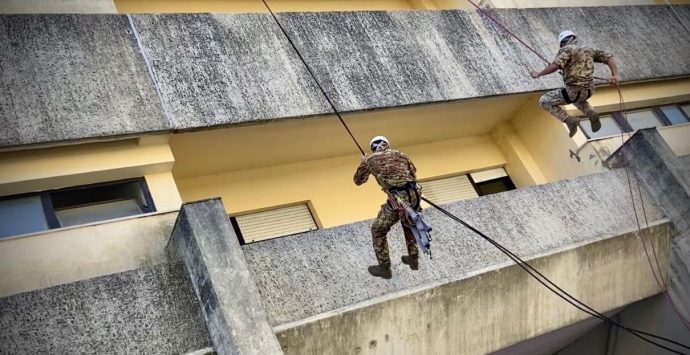 Latitante arrestato a Vibo, si punta alla rete dei fiancheggiatori