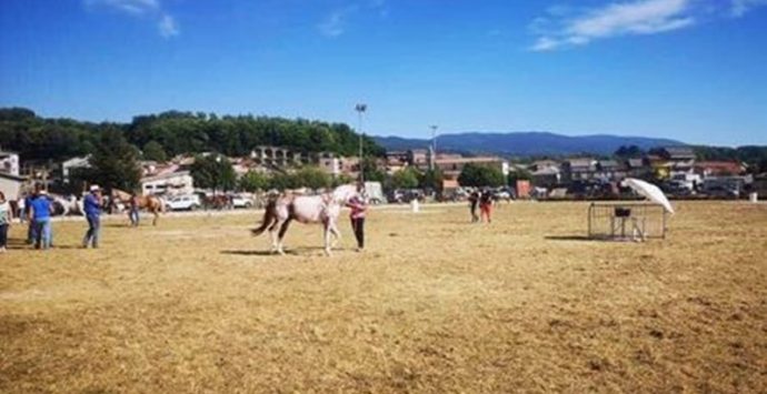 A Spadola il primo equiraduno: più di cento i cavalli da tutta la Calabria