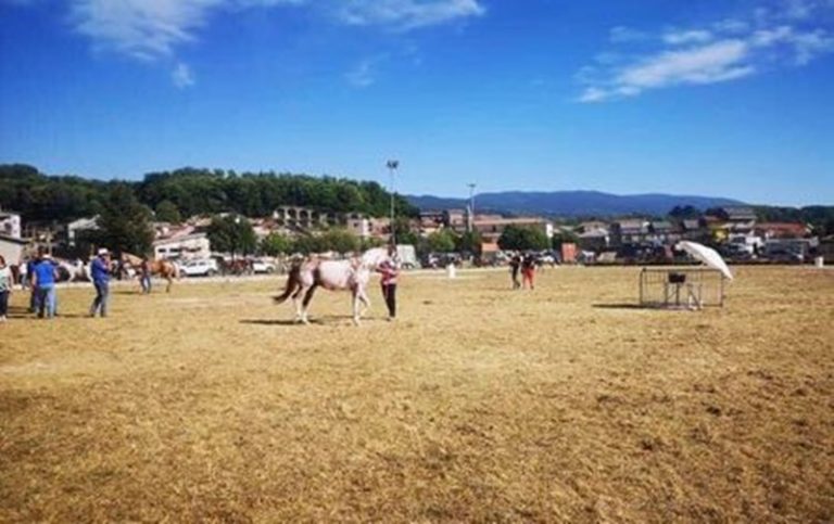 A Spadola il primo equiraduno: più di cento i cavalli da tutta la Calabria