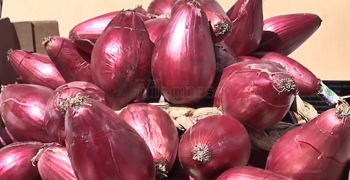 La cipolla rossa di Tropea tra i protagonisti del 30esimo Festival del peperoncino