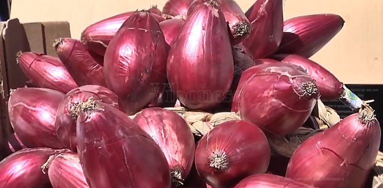 La cipolla rossa di Tropea tra i protagonisti del 30esimo Festival del peperoncino