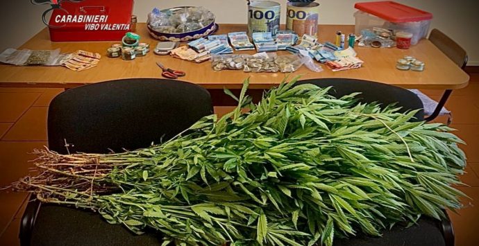 Marijuana e 5mila euro nascosti in campagna, un arresto nel Vibonese