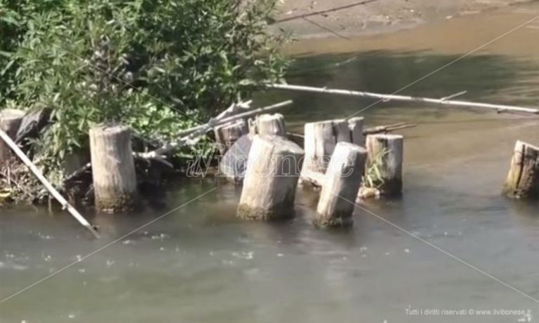 «Non sbarrate il fiume Mesima», il Wwf Calabria diffida la Regione – VIDEO