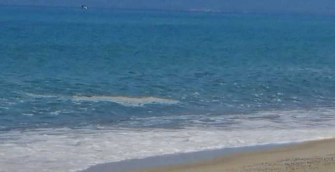 Mare sporco e possibili soluzioni in vista dell’estate, Amici del Mare e Usb incontrano il sindaco