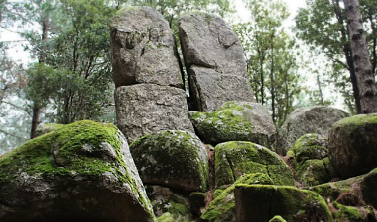 I megaliti di Nardodipace senza tutela, il Comune chiede che siano inclusi nel Parco delle Serre