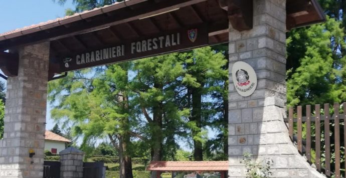 Mongiana, iniziativa dei carabinieri forestali nella Giornata internazionale della biodiversità