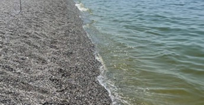 Pizzo, località Malferà: mare verde e i vacanzieri disertano le spiagge-Video