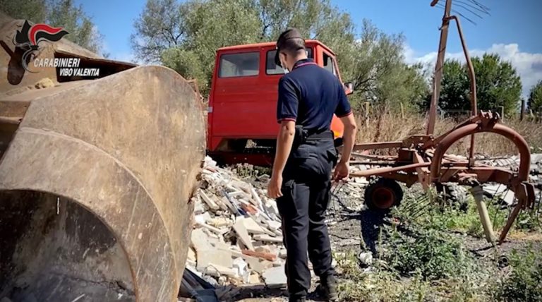 Vibonese, discarica abusiva e animali privi di cure: scatta il sequestro-Video