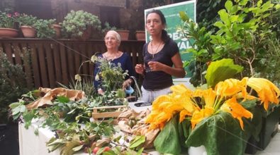 Al “Serreinfestival” la botanica si sposa con la cucina – Video