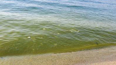 Schiuma giallastra nel mare di Bivona, il sindaco Limardo: «È polline»