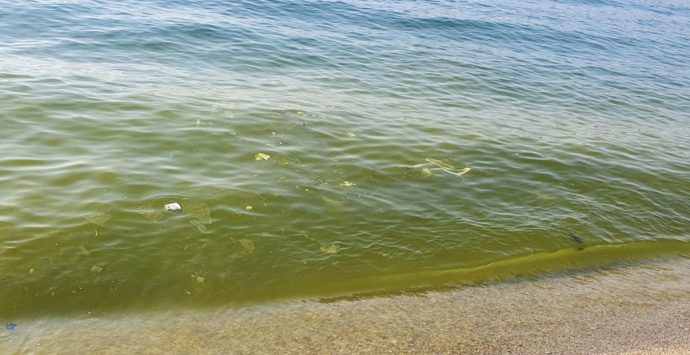 Mare sporco tra Vibo e Lamezia, l’affondo della Cgil: «Coste deturpate da liquami e sporcizie»