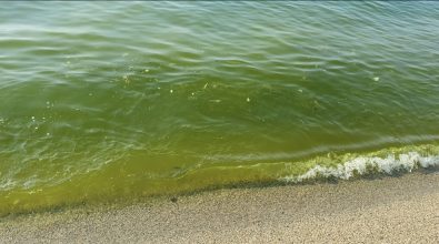 Mare sporco e sdegno: la Pro loco di Vibo Marina chiede approfondimenti