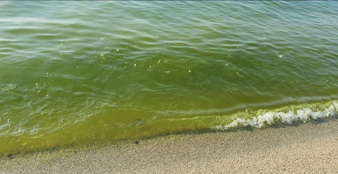 Mare sporco e sdegno: la Pro loco di Vibo Marina chiede approfondimenti