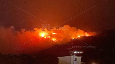 Il Vibonese travolto dalle fiamme, oltre 35 gli incendi nelle ultime 24 ore – Video