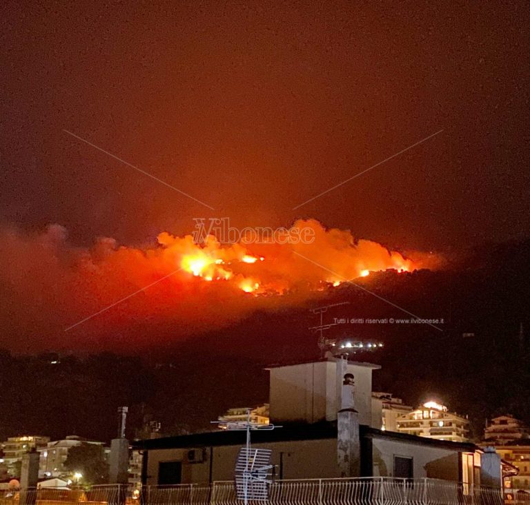 Il Vibonese travolto dalle fiamme, oltre 35 gli incendi nelle ultime 24 ore – Video