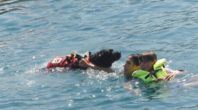 Gli eroi a quattro zampe protagonisti al largo di Vibo Marina – VIDEO